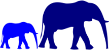 elephant with baby calf