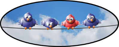 three blue birds and one red bird sitting on a line