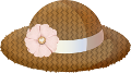 woman's straw hat