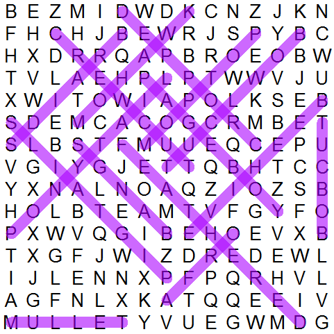 puzzle grid 155