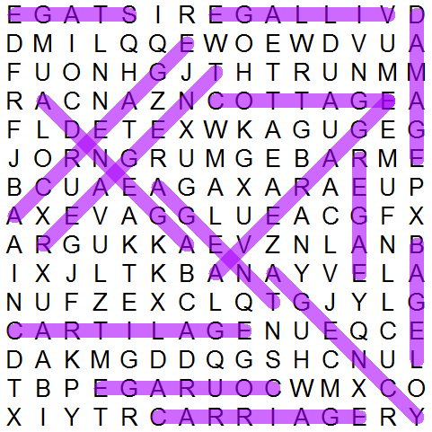 puzzle grid 307