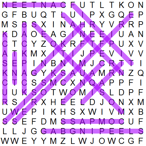 puzzle grid 393