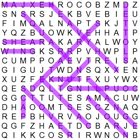 puzzle grid 509