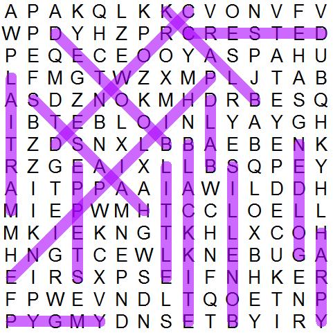 puzzle grid 701