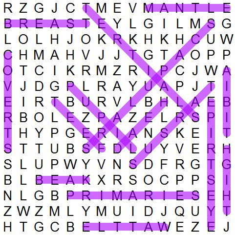 puzzle grid 856