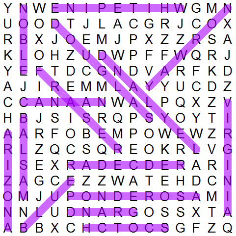 puzzle grid 996
