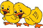 two yellow chicks