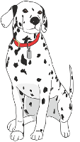 sitting dalmatian