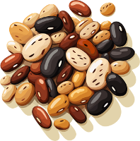 pile of assorted dry beans