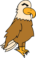american bald eagle