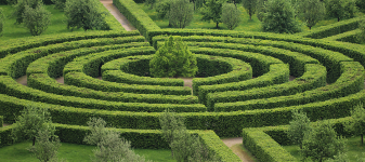 photo of a hedge maze