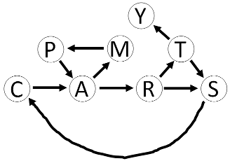word PARTY in circles with arrows