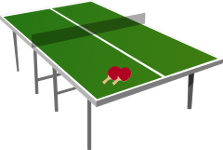 ping-pong table with two paddles