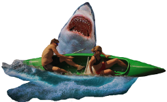 shark attacking two canoeists