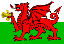 Welsh flag with dragon holding a daffodil